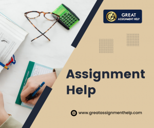 You Need to Know About Assignment Help Ireland